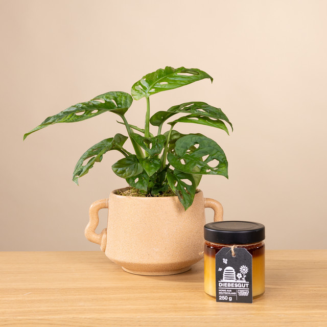 Dschungel König mit Diebesgut Honig 250g von BLUME2000 - Bild 1