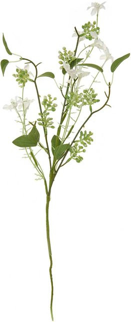Rico Design Picker Wildblume in Grün - Bild 1
