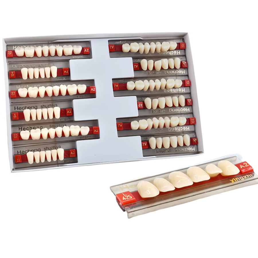 Dental Kunstharz Prothesen-Set, Zahnprothesen A2, Dentalmaterial - Bild 2
