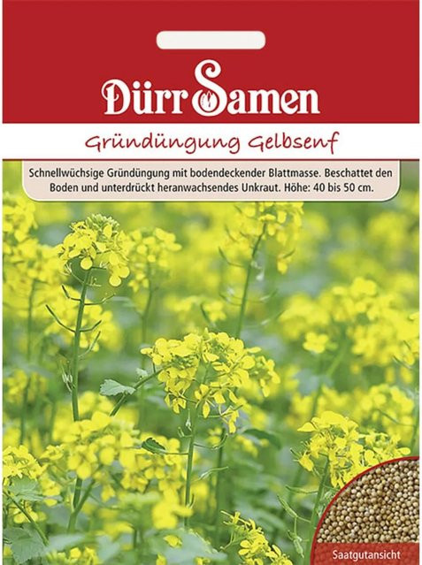Dürr Gelbsenf Saatgut zur Gründüngung, 80 g - Bild 1