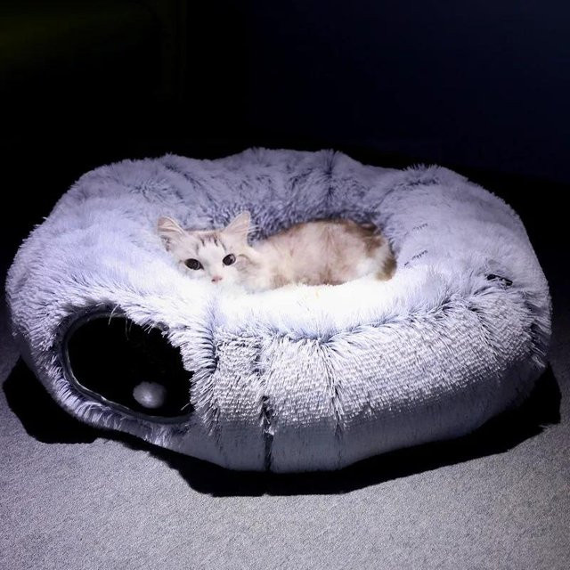 Faltbares Plüsch-Haustiernest mit Tunnel für Katzen und Hunde, Warmes Katzenbett in Rainbow-Farben von Household supplies MH - Bild 1