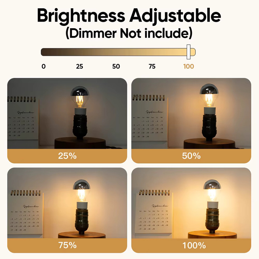 G45 Edison LED Pendelleuchte Globe Top in Silber mit warmweißem Licht, dimmbar, E14 Fassung, 4W - Bild 3