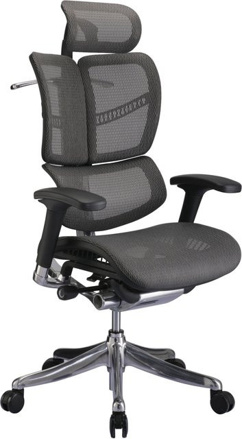 TPFLiving Bürostuhl Norman Ergonomic mit Netzbezug und Kopfstütze in Grau und Schwarz - Bild 1