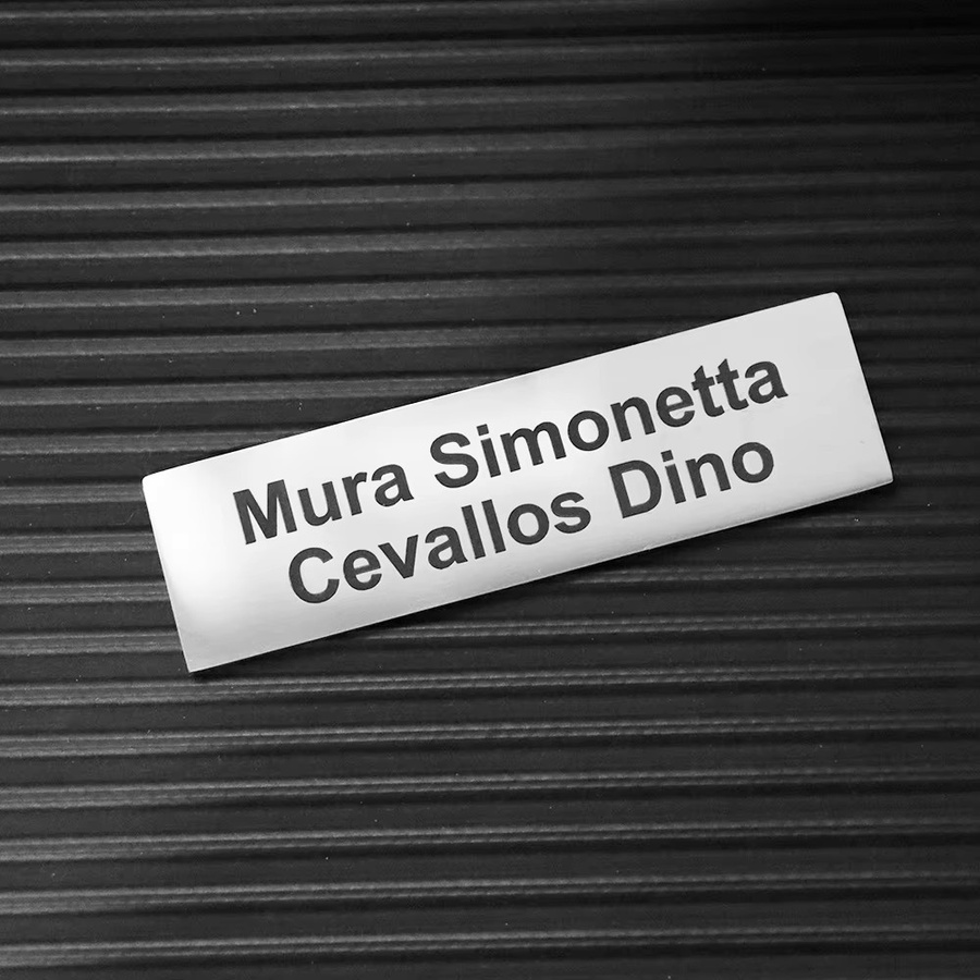 Personalisiertes Briefkastenschild aus Edelstahl in Silber, selbstklebendes Namensschild mit individuellem Text, Breite: 7 cm, Höhe: 2 cm - Bild 4