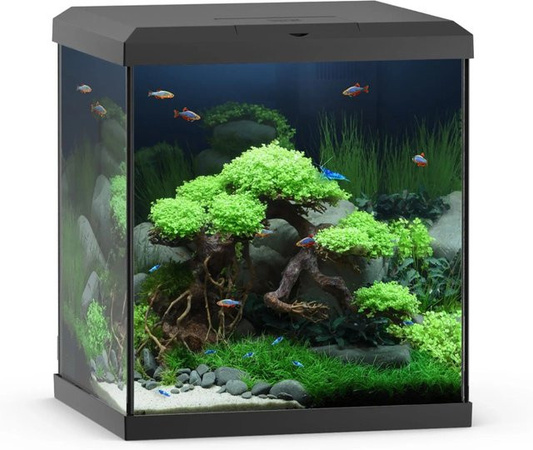 Juwel Aquarium-Set Vio Cube 54 LED SBX Schwarz