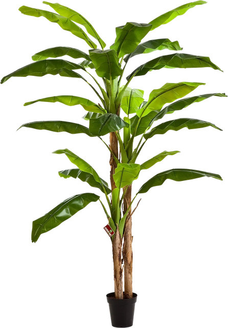 Künstlicher Bananenbaum Pauline von Aplanta, Höhe: 300 cm - Bild 1
