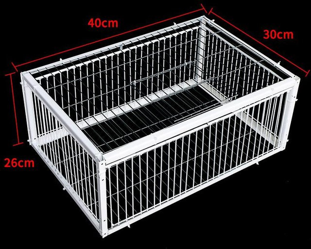 Automatische Tierfalle aus Metall für Vögel, Kaninchen und Mäuse mit Einweg-Eingang von Yiran Furniture - Bild 1