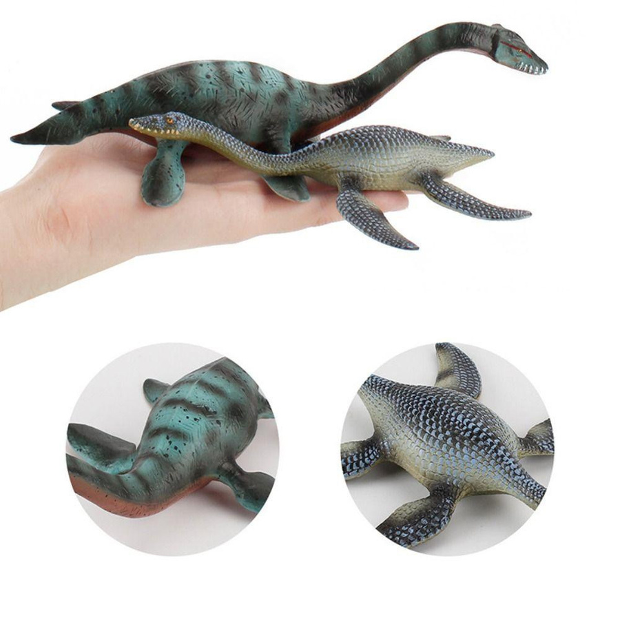 Plesiosaurier Prähistorisches Biologisches Modell Jurazeitliches Tier - Bild 3