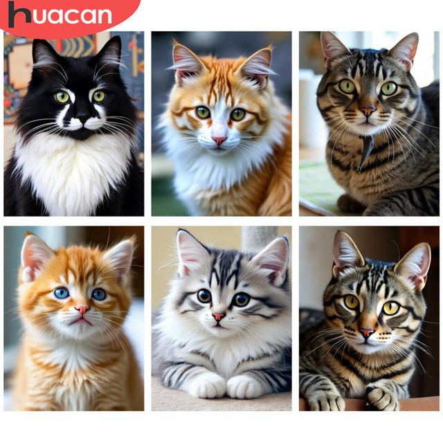 HUACAN Diamantmalerei Set Schwarz-Weiß Katze Porträt 5D DIY Mosaik Bild mit runden Steinen B: 30,0 cm, H: 20,0 cm - Bild 1