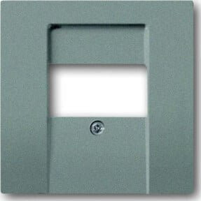 Busch-Jaeger Zentralscheibe meteor in grau für UAE/TAE/LS 1766-803 - Bild 1