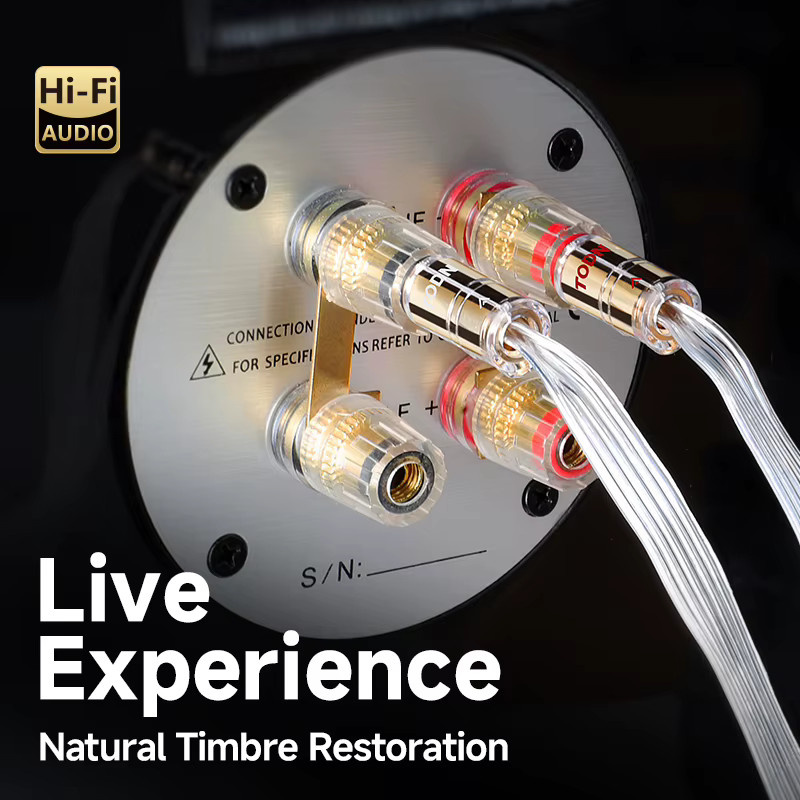 TODN Hifi 1 Paar 7N OCC versilberte Audio-Lautsprecherkabel mit vergoldeten Bananen- und Y-Steckern in Silber - Bild 3