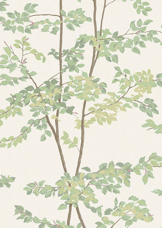 Lewis & Wood Tapete Beech in Document Green mit botanischem Floral-Design - Bild 2