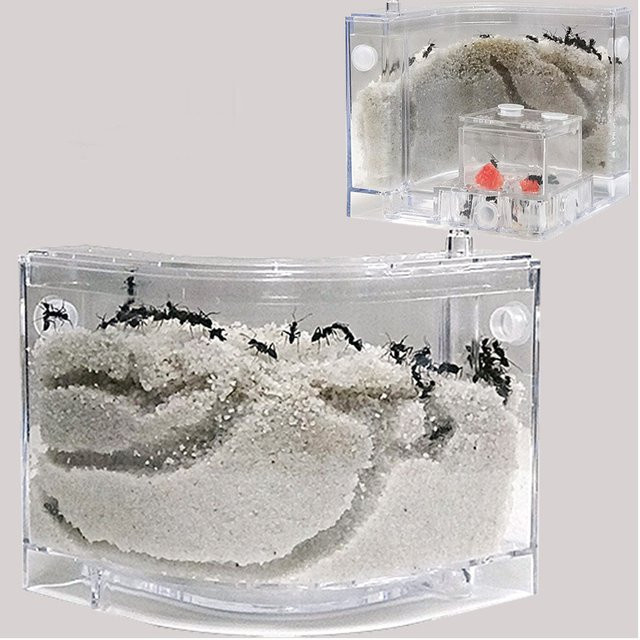 Otmagelu Ameisen Bauernhof, Ameisen Haus Schloss, Insekten Terrarium, Ameisenkäfig, Insekten Box, Lernmodell Spielzeug - Bild 1