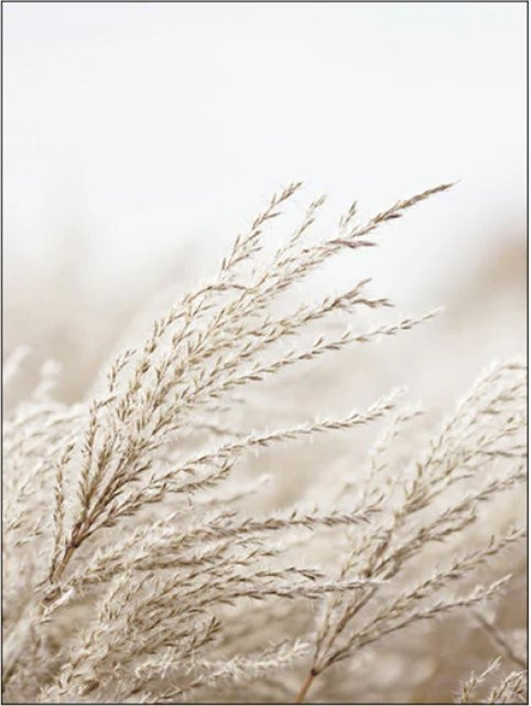 TPFLiving Gold Luxus Poster Leinwand Floral in Weiß, Blau und Beige, B: 25 cm, H: 35 cm - Bild 1