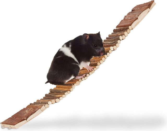 Relaxdays Hängebrücke aus Schimaholz und Metall in Braun, B/T/H: 55 x 10 x 1,5 cm - Bild 1
