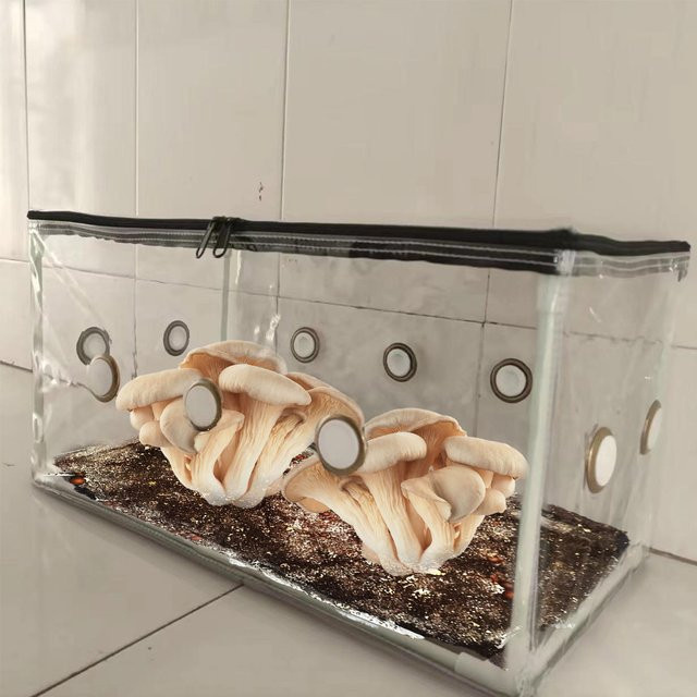 Wiederverwendbares Pilzzelt und Wachstumsbeutel Set mit Gummiringen für die Pilzzucht im Haushalt, transparent, B/T/H: 50 x 25 x 25 cm - Bild 1