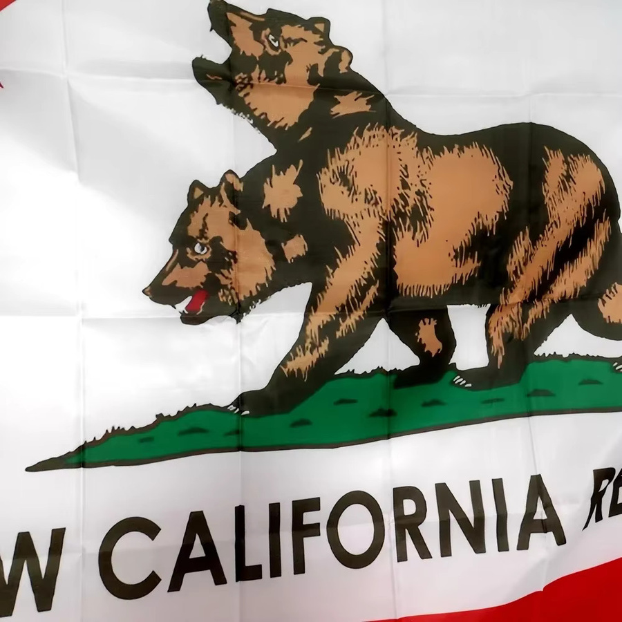 NCR Banner New California Republic Flag aus 100 % Polyester für Outdoor und Indoor, Farbe: Weiß, B x H: 90 x 60 cm - Bild 2