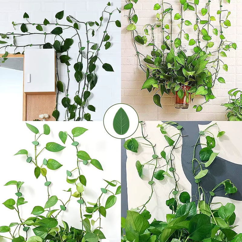 Transparente Kletterwand Befestigung Clips für Gartenpflanzen und Reben zur Unterstützung von Kletterpflanzen - Bild 4
