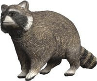 Schleich Wild Life Waschbär Spielfigur - Bild 1
