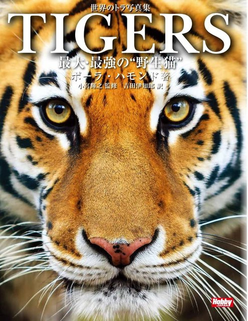 Welt-Tiger-Fotosammlung: Die größten und stärksten Wildkatzen, Sachbuch - Bild 1