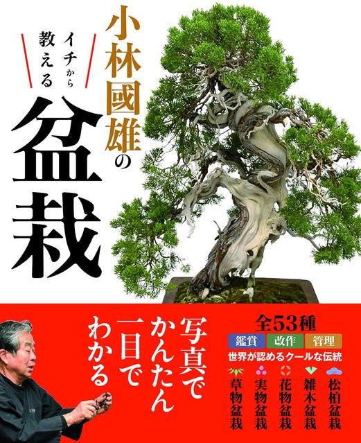 Bonsai von Anfang an mit Kunio Kobayashi - Bild 1