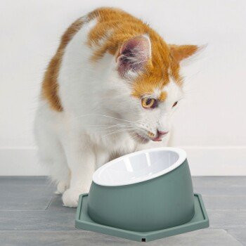 nobleza Gesundheits Futternapf für Katzen in Grün, waschbar und abnehmbar