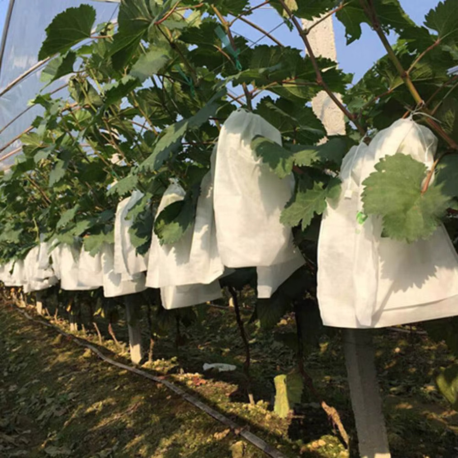 Wasserdichte Obst- und Gemüse-Schutztasche aus Vlies als Anti-Insekten- und Anti-Vogel-Netz für Pflanzen und Sämlinge in Weiß - Bild 5