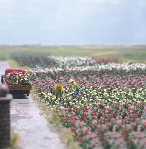 Busch Natur Rosen, Bausatz, 1:87 (Spur H0) - Bild 1