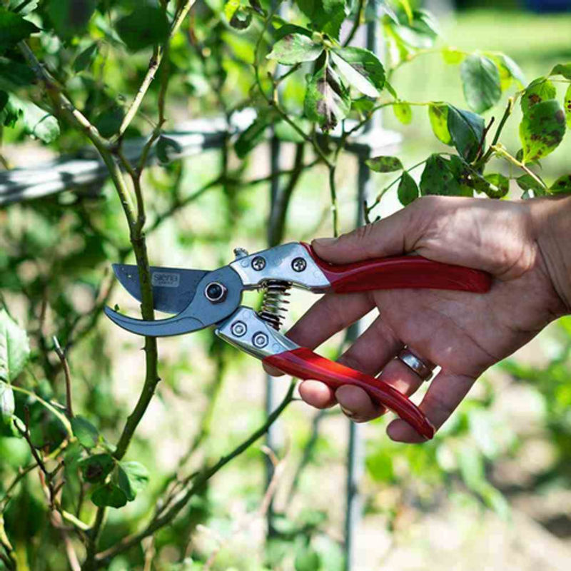 SIENA GARDEN Premium Bypass-Astschere CG1030 aus Stahl in Rot mit 22 mm Klingenlänge - Bild 3