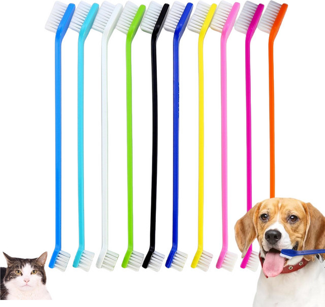 LGFU Dual Headed Zahnbürste für Hunde und Katzen, 10 Stück - Bild 1