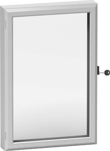 Schneider Electric NSYCW65 Sichtfenster transparent B: 500 mm, H: 600 mm - Bild 1