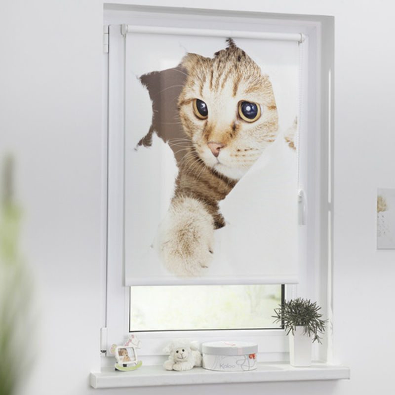 Lichtblick Rollo Klemmfix mit Katzenmotiv in Weiß und Braun, B: 120 cm, H: 150 cm - Bild 2