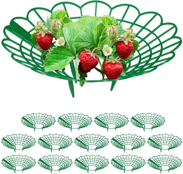 Relaxdays Erdbeerpflanzenstütze aus Kunststoff in Grün, 15er Set, Höhe: 30 cm, Breite: 10 cm - Bild 1