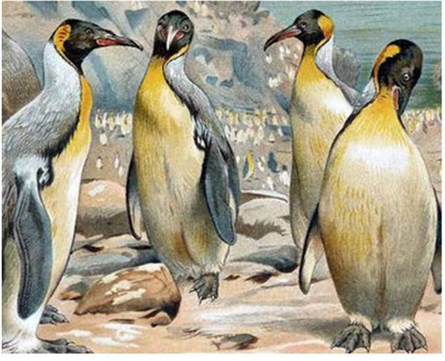 FIYO 5D DIY Diamant Malerei Island Pinguin Strass Stickerei, Farbe: Beige/Multicolour, Breite: 20 cm, Höhe: 30 cm - Bild 1