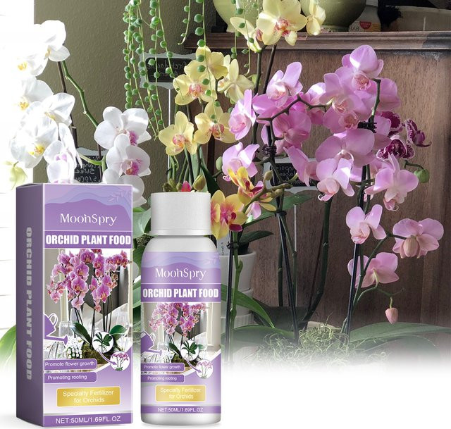 MOONSPRY Orchideen-Blüten-Booster Pflanzentonikum zur Regeneration und für gesundes Blattwachstum, Mehrfarbig - Bild 1