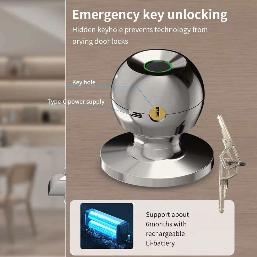 LUCKING DOOR K10 Smart Türschloss mit Tuya App und biometrischem Fingerabdruck-Scanner in Silber - Bild 2