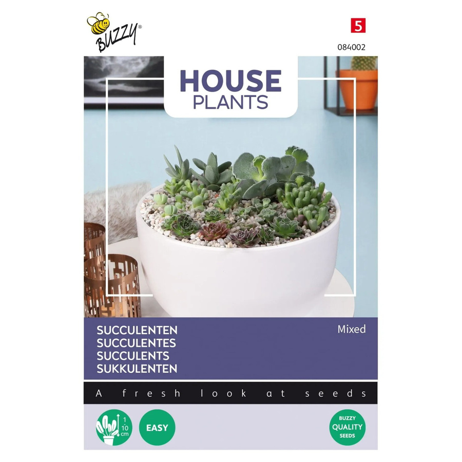 Sukkulenten-Samen Mischung Buzzy House Plants Multicolor für Arrangements, ca. 7 Samen - Bild 2