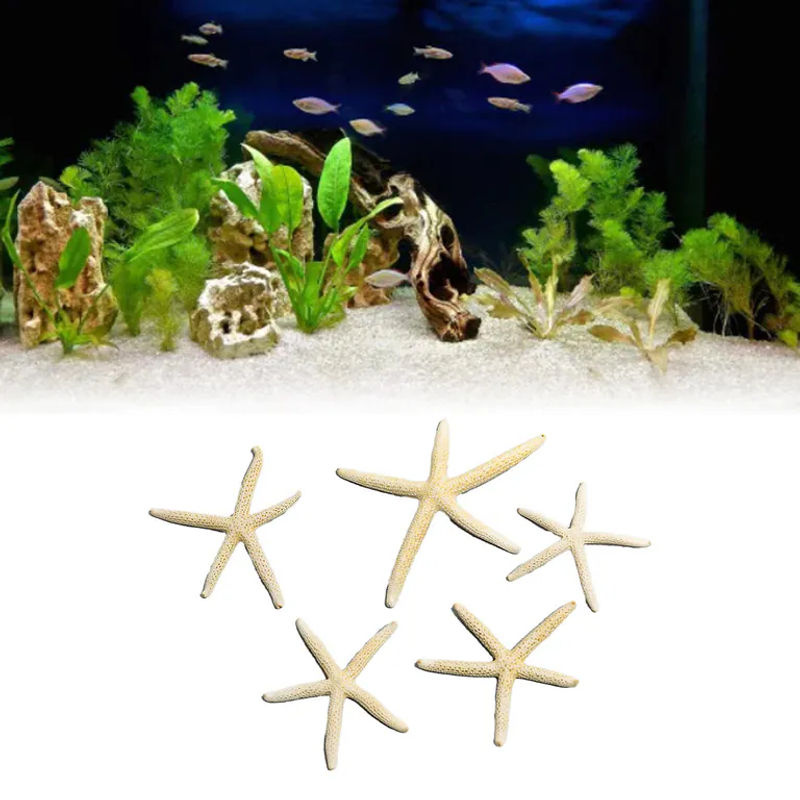GoolRC Seestern Deko Set in Weiß für dein Aquarium und maritime Dekorationen - Bild 3