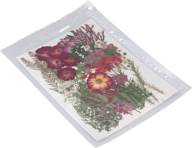 GoolRC Set mit 100 Stück gepressten Trockenblumen und Blättern in Weiß und Multicolour für Scrapbooking und Kunsthandwerk - Bild 1