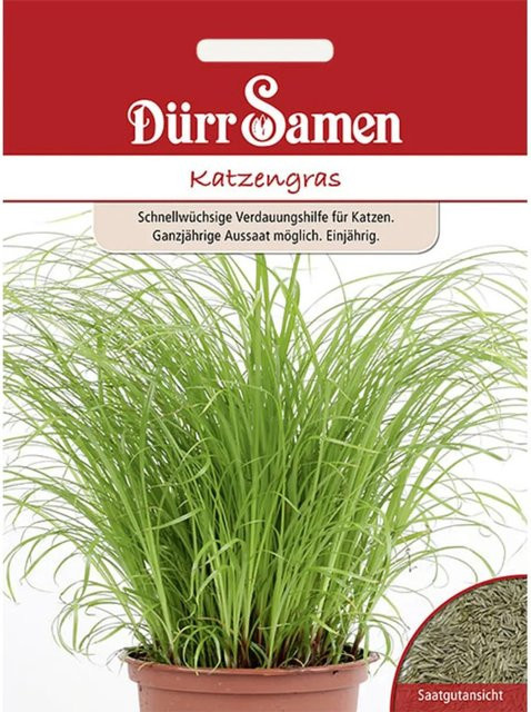 Dürr Katzengras Saatgut für eine ganzjährige Aussaat, 3 g - Bild 1