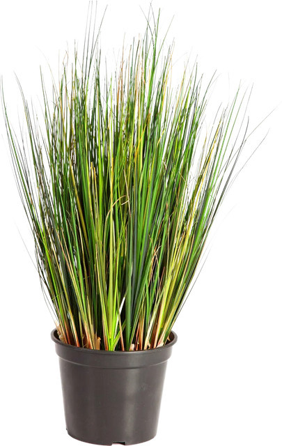 Künstlicher Fuchsschwanz von Pax, Länge: 60 cm - Bild 1