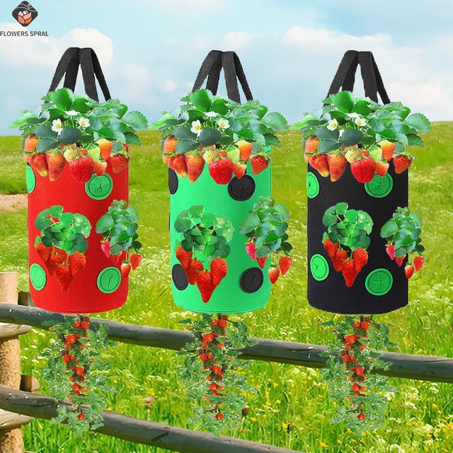 FLOWERS SPRAL 12-Loch-Pflanzbeutel aus Vlies zum Aufhängen für vertikalen Garten mit Erdbeeren, Tomaten, Kräutern und Blumen - Bild 1