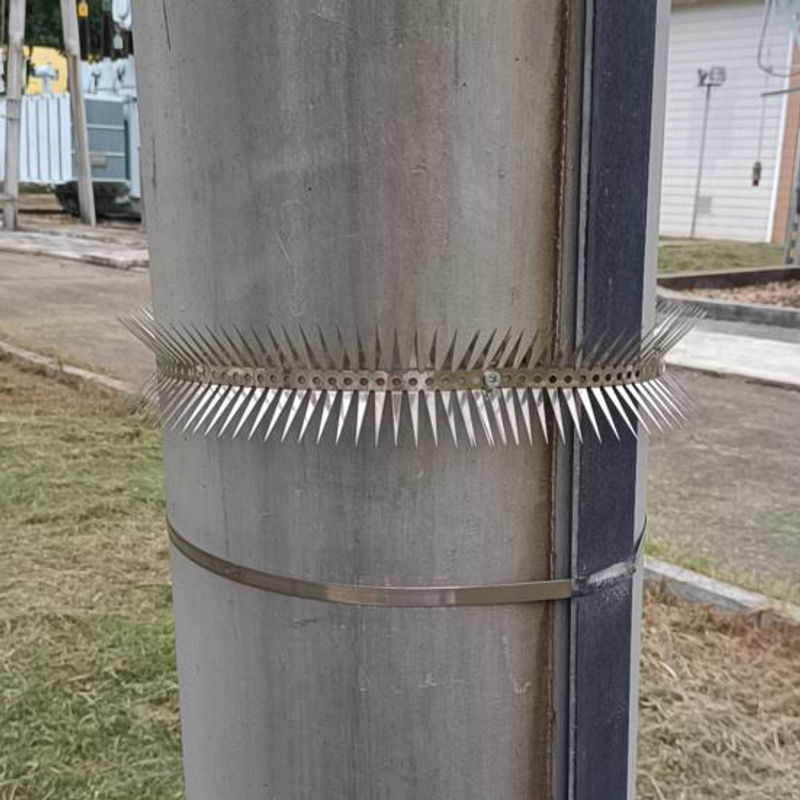 Amusedly Anti-Ratten-Spikes aus Edelstahl zur Vogelabwehr in Silber inklusive Kabelbindern - Bild 3