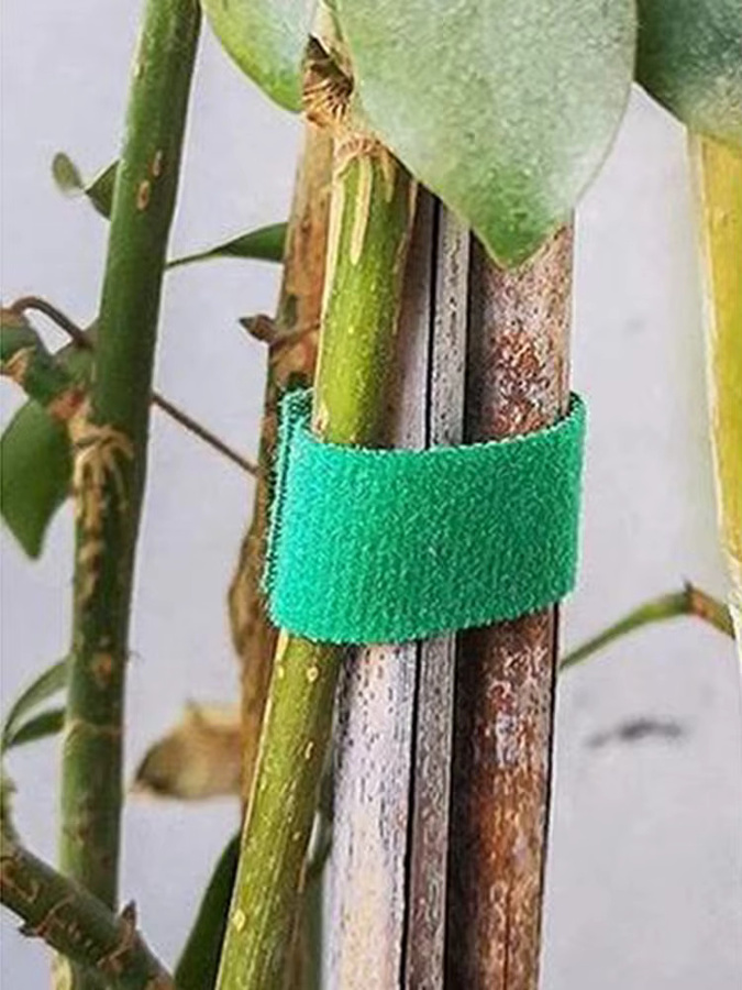 Nylon-Pflanzenverband-Krawatten mit Klettverschluss in Schwarz und Grün, 5 m Gartenschnur zur Wickelunterstützung für Pflanzen und Bambusrohre - Bild 6
