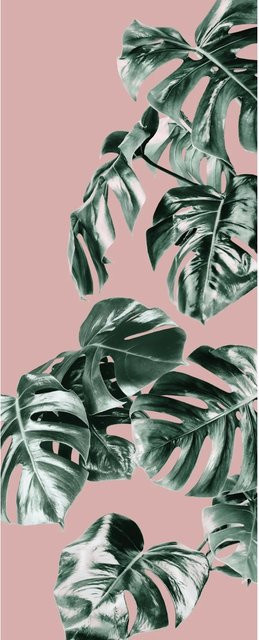 Komar Fototapete Vlies Monstera in Rosé, Breite: 100 cm, Höhe: 250 cm - Bild 1