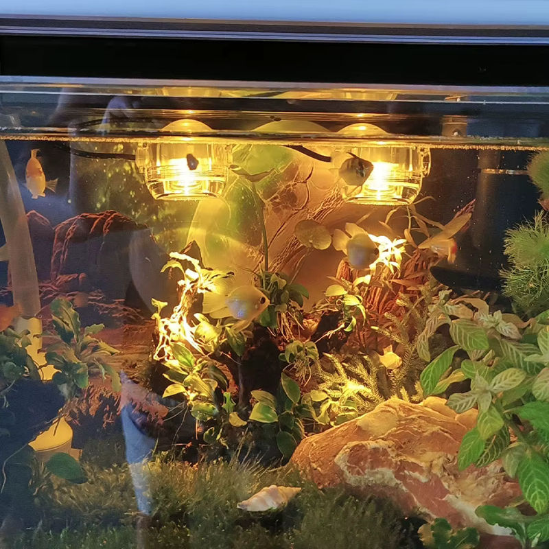 SEVEN MASTER LED Aquarium-Scheinwerfer mit USB-Anschluss und RGB-Farbverlauf in Multicolour und Transparent - Bild 2