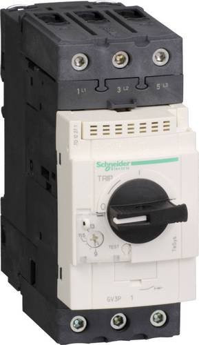 Schneider Electric GV3P32 Motorschutzschalter in Grau - Bild 1