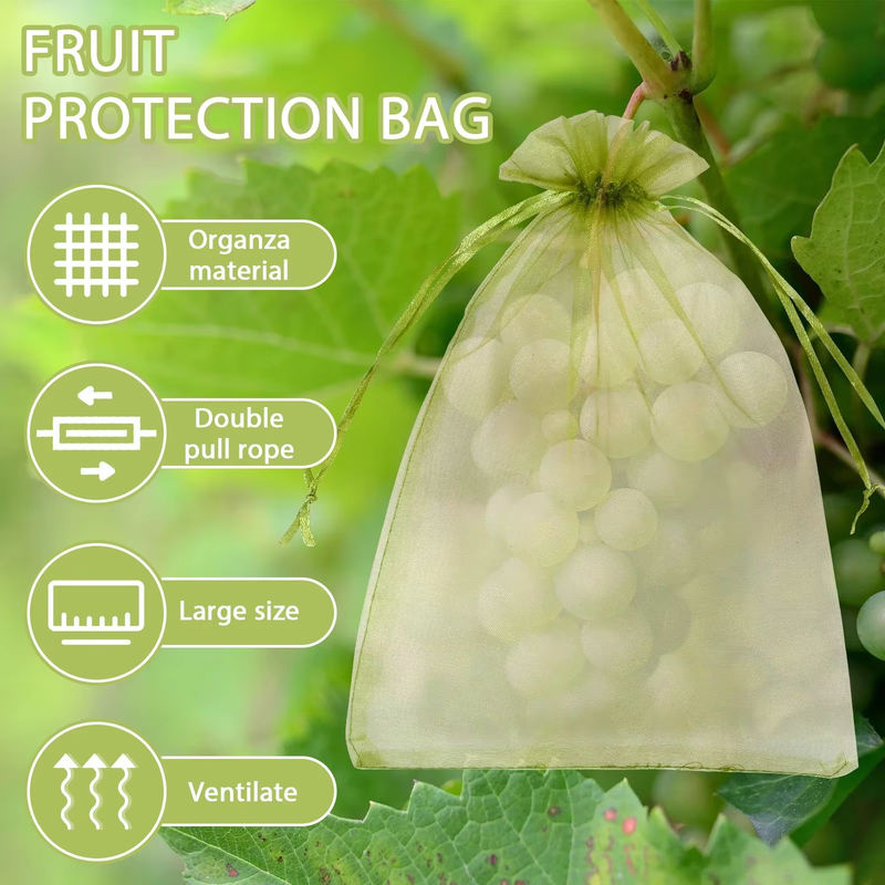 100 Stück Obst-Wachstumsbeutel in Grün, atmungsaktive Netzbeutel mit Kordelzug zum Schutz von Erdbeeren und Trauben vor Vögeln und Schädlingen für deinen Garten - Bild 2