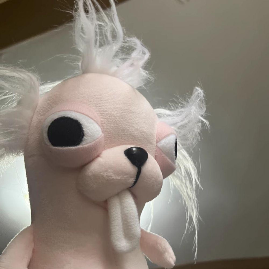 Linyi toy Chihuahua Plüschtier Schlüsselanhänger nicht für Kinder unter 3 Jahren - Bild 3