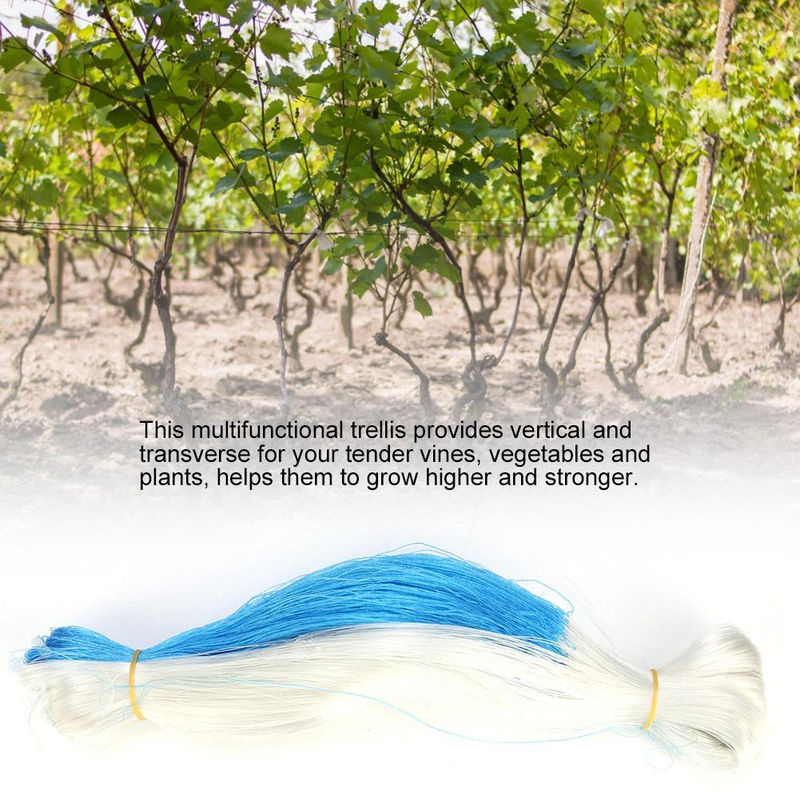 TOMTOP JMS Ranknetz Pflanzen Kletterhilfe aus Polyethylen für Gartenpflanzen, Gemüse und Blüten, 2 x 100 m - Bild 2